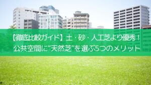 【徹底比較ガイド】土・砂・人工芝より優秀！公共空間に“天然芝”を選ぶ5つのメリット