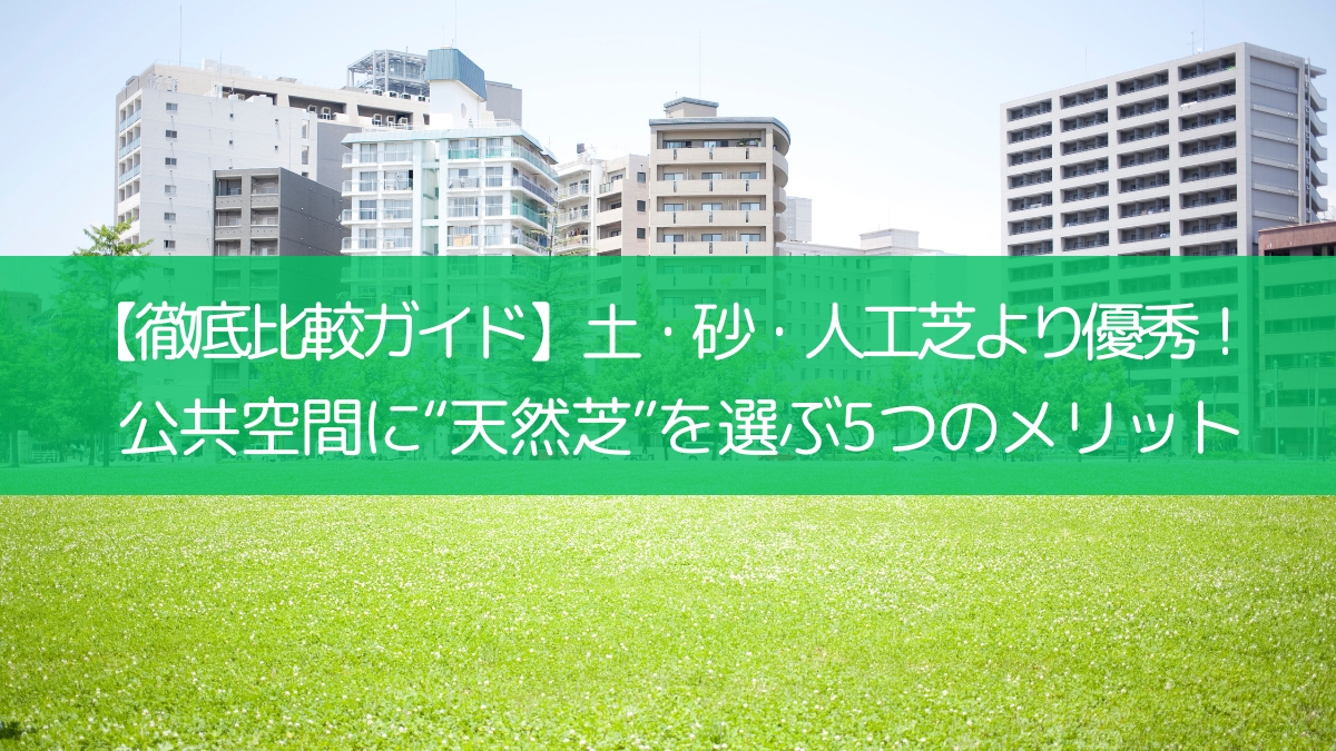 【徹底比較ガイド】土・砂・人工芝より優秀！公共空間に“天然芝”を選ぶ5つのメリット