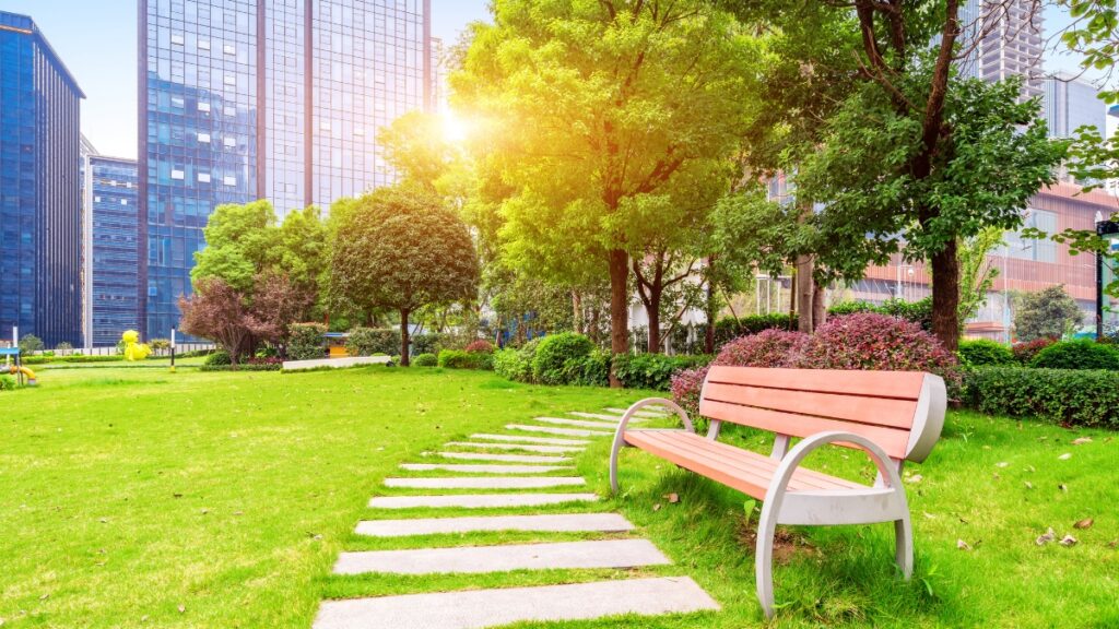 芝生公園