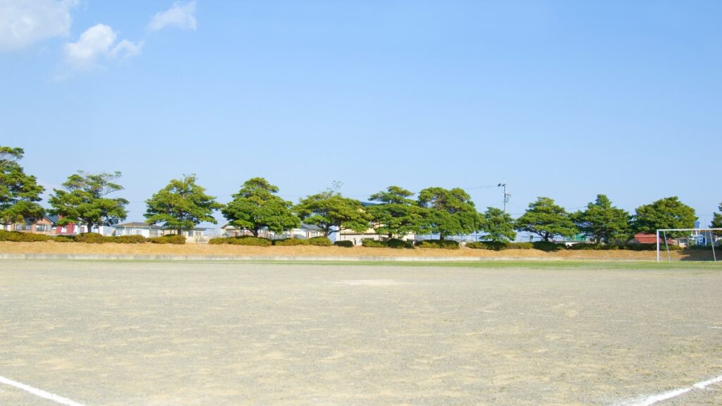 校庭土砂