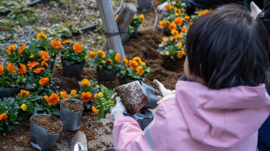 ザトウキョウタワーズ花植えイベント